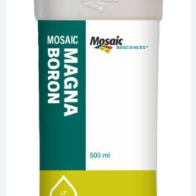 MOSAIC MAGMA BORON