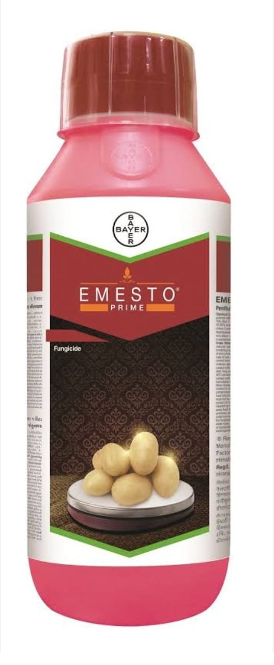 EMESTO PRIME BAYER