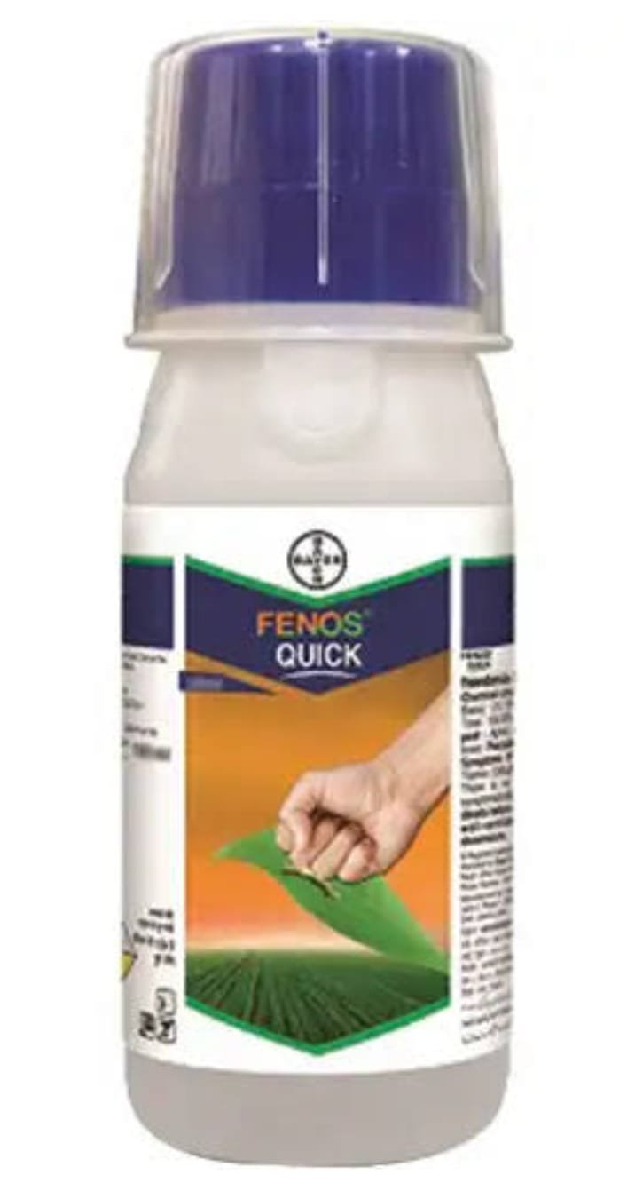 FENOS QUICK BAYER
