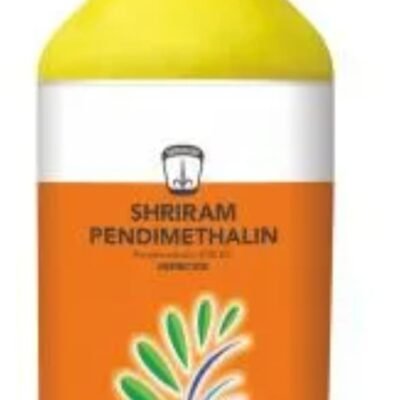 SHRIRAM PENDIMETHALIN