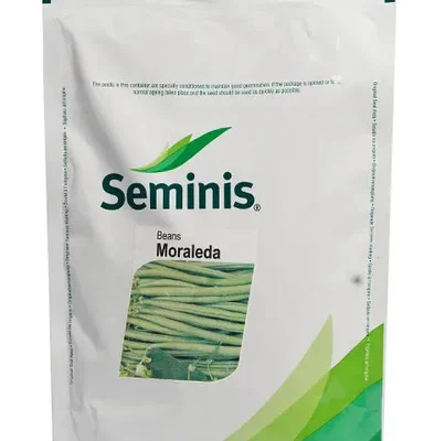 Moraleda Beans