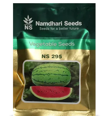 NS 295 F1 hybrid watermelon seeds